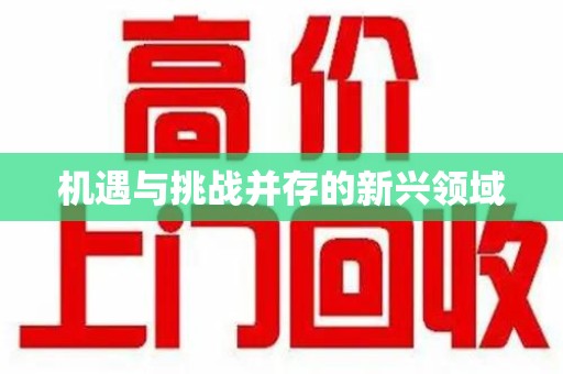 宜春机遇与挑战并存的新兴领域