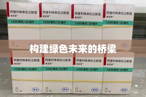 宜春构建绿色未来的桥梁