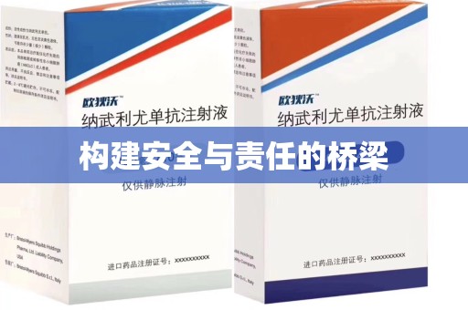 宜春构建安全与责任的桥梁