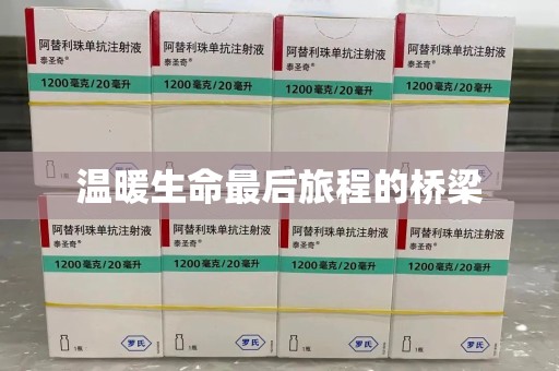 宜春温暖生命最后旅程的桥梁