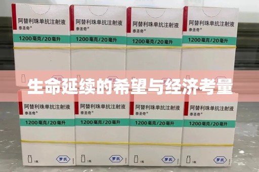 宜春生命延续的希望与经济考量