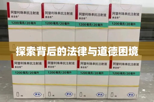 宜春探索背后的法律与道德困境